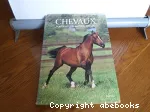 Chevaux, portraits du monde animal