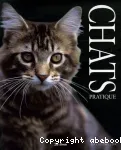 Les chats : pratique