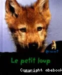 Le petit loup