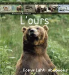 L'ours