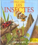 LES INSECTES