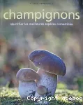 Champignons- Identifier les meilleures espèces comestibles