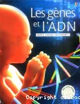 Les gènes et l'ADN