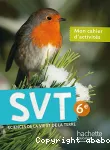 SVT 6°